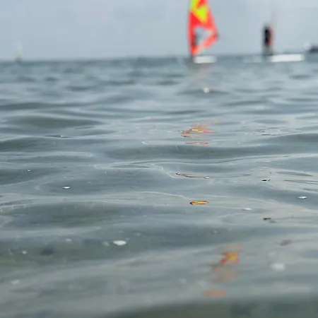 Bretterbutze Meerblickbutze *