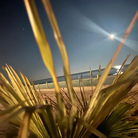Bretterbutze Meerblickbutze Grömitz
