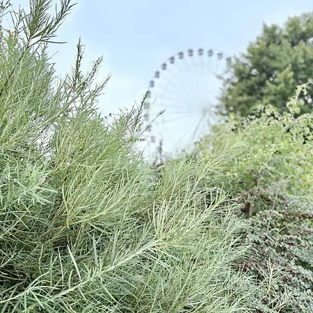 Bretterbutze Meerblickbutze Grömitz