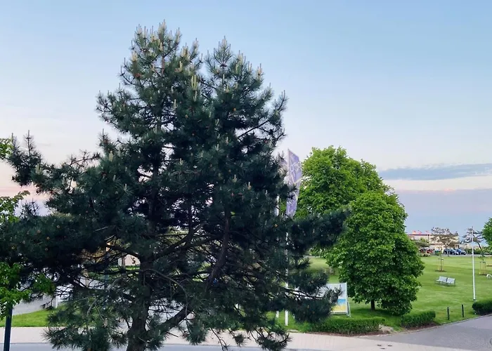 Appartamento Bretterbutze Meerblickbutze